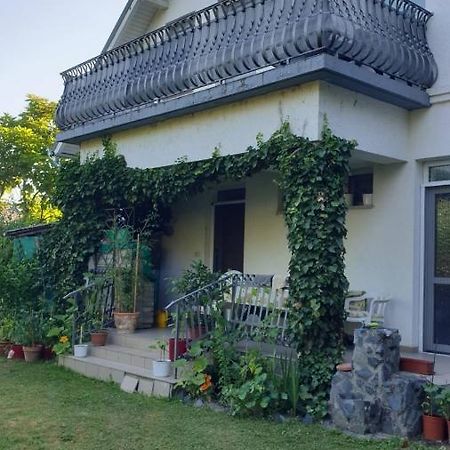 Ilona Apartmanok Balatonboglár المظهر الخارجي الصورة