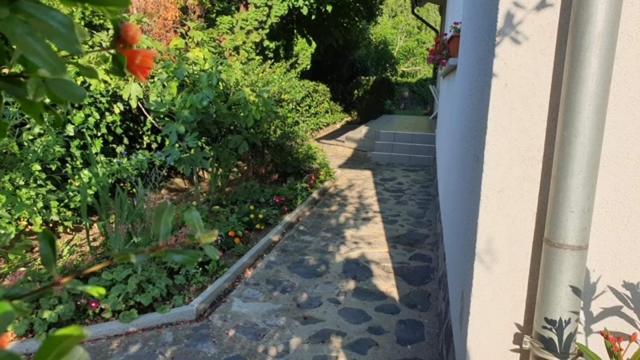Ilona Apartmanok Balatonboglár المظهر الخارجي الصورة